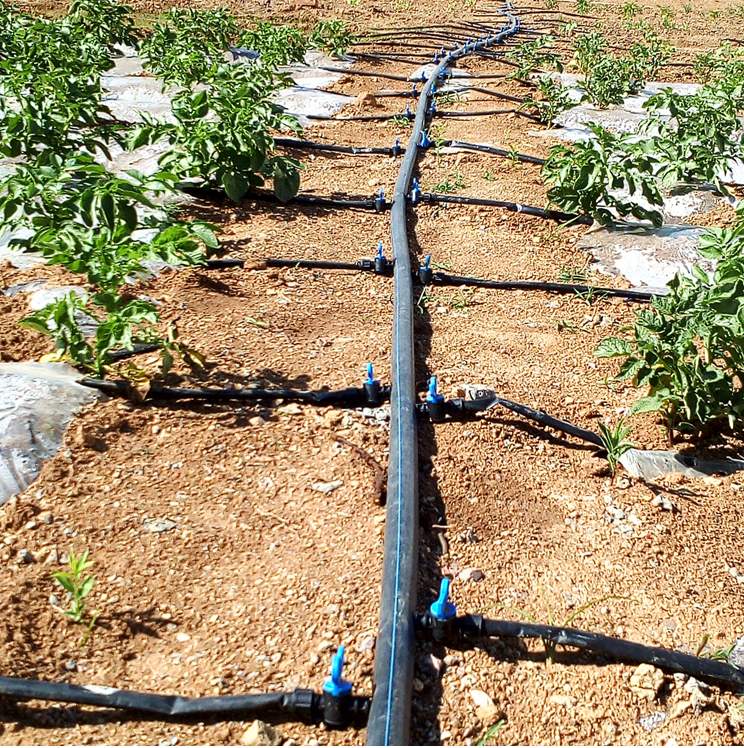 ���̰���